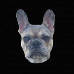Sir Winston Spencer Churchill - @winstonspencerfrenchie - Instagram