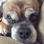 Winston Spence - @winston_spence - Instagram