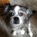 Winston Spence - Facebook