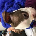 Winston Spencer - @winston.spencer - Instagram