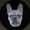 WinstonSpencerFrenchie - @winstonspencerfrenchie - TikTok