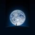 Tseng Winston - Facebook