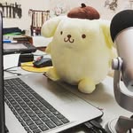 Winston Tse - @upsidedownrookie - Instagram
