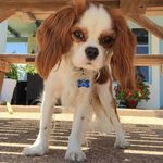 Winston Charles Walker - @_winston_walker_ - Instagram