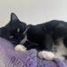 Winston Walker - Facebook