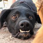 Winston Walker - @wunderbite_winston - Instagram