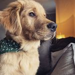 Winston Walker - @sirwinstonwalker - Instagram
