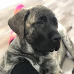 @_winston_wallace_ - Instagram
