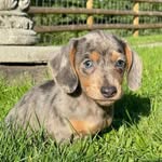Winston Wallace - @winston_in_wales - Instagram