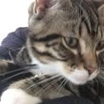 Winston Wallace - @winstonwallace6737 - Instagram