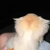 nnn - @winsttty - TikTok
