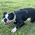 Winston Augustus Snoop-Dogg Wheeler - Facebook