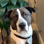 Winston Wheeler - @winstonwheeler19 - Instagram