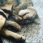Winter Foster-Peckham - @winter_foster_peckham - Instagram