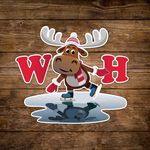 Winterhallen Overijse - @winterhallen - Instagram