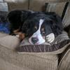 Wynter Marshall535 - @wynter.marshall - TikTok