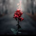 🌹✨kayla thanks✨🌹 - @__winter_.rose.__ - Instagram