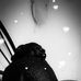 Wiss Pierre - Facebook