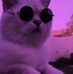 Wojtek Borowski - Facebook