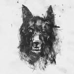 Ayushwa - @wolf_singer__ - Instagram