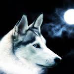 check out my youtube Vidios - @wolfsinger1981 - Instagram