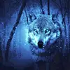Moonlight_galaxy - @moonlightwolfsinger - TikTok