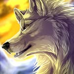 Nobody - @wolf_singer101 - Instagram