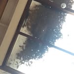 @wolf.singer.6969 - Instagram