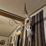 Wolf Singer - @wolfsinger54 - Instagram