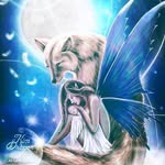 Wolf Singer - @wolfsinger56 - Instagram