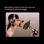bentley von c wolfsmith - @bentley_wolfsmith - Instagram
