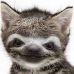 Chema Wolfsmith - @chema_wolfsmith7 - Instagram