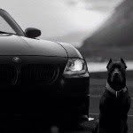 evgeniy - @wolf_smith - Instagram