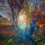 Wolfgang Binder - @binder.wolfgang - Instagram