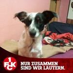 Wolfgang Weber - @wolfgangweber68 - Instagram