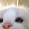 won - @won.lim0 - TikTok