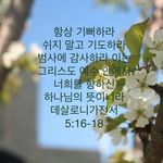 말씀 묵상, 내가찍은 사진에 말씀넣기 - @won_park_ - Instagram