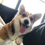 Wong Choy - @noneofyourpusiness - Instagram