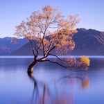 Wong Choy Lan - @choylanw - Instagram