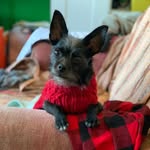 Wongchoy - @wongchoymyboy - Instagram