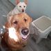 Wong Man - Facebook