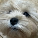 악동 전우치 - @woochi_jeonssi - Instagram