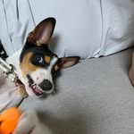 우치JEON - @woochijeon - Instagram
