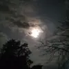 ★ – FiLi Lvs MoonTy! :3 - @woomoon - TikTok