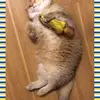 woo  moon - @woomoon2 - TikTok