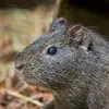 woodruffcolbert - @woodruffcolbert - TikTok
