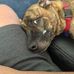 Woodrow Lance - Facebook