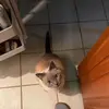 Woodrow - @woodrow121 - TikTok