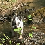 Woody Schmidt - Facebook