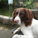 Woody Wright - @woodywright1 - Instagram